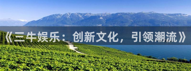 凯发k8娱乐：《三牛娱乐：创新文化，引领潮流》