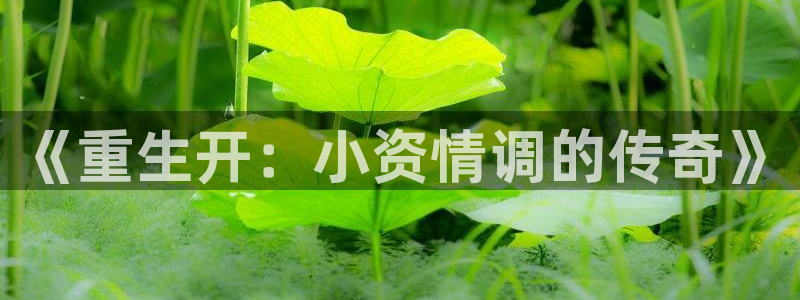 k8凯发(中国)