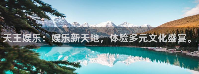 k8凯发·国际凯发一触即发官网：天王娱乐：娱乐新天地，体验多元文化盛宴。