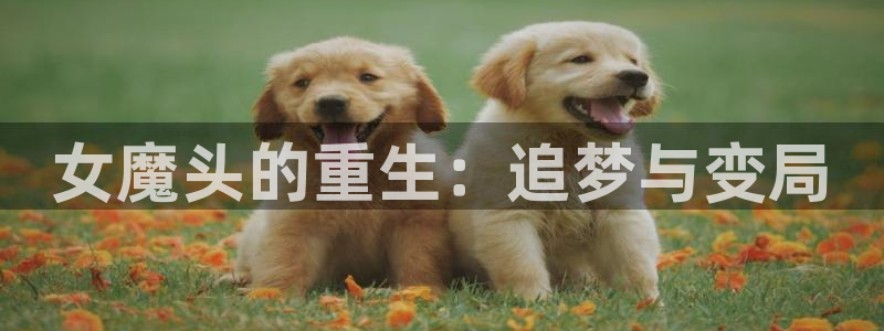 凯发k8官网首页登录：女魔头的重生：追梦与变局
