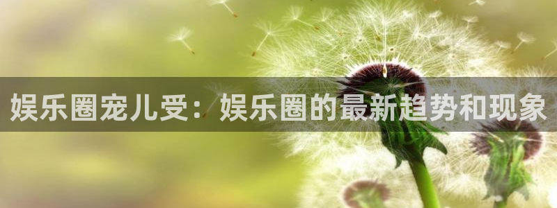 凯发k8娱乐官网app下载：娱乐圈宠儿受：娱乐圈的最新趋势和现象