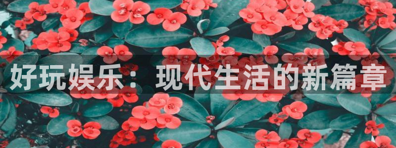 凯发娱发k8官网：好玩娱乐：现代生活的新篇章