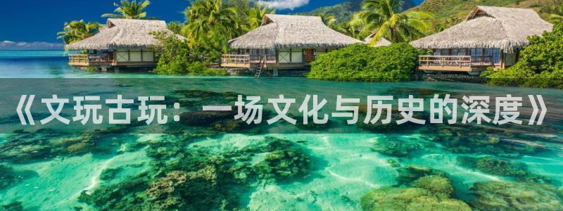 凯发k8官网：《文玩古玩：一场文化与历史的深度》