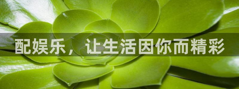 k8凯发·国际凯发一触即发剧情：配娱乐，让生活因你而精彩