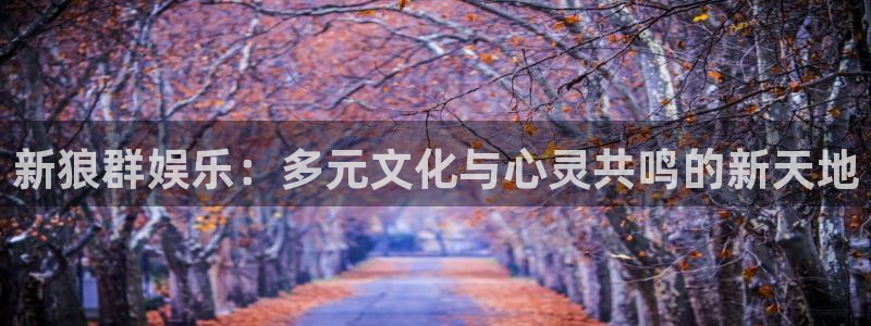 k8凯发(中国)天生赢家·一触即：新狼群娱乐：多元文化与心灵共鸣的新天地