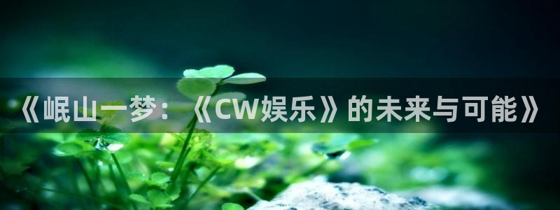 k8凯发创始人故事：《岷山一梦：《CW娱乐》的未来与可能》