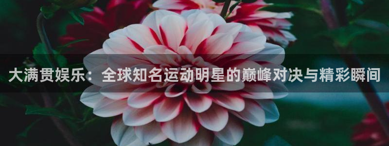 凯发k8娱乐官网app下载：大满贯娱乐：全球知名运动明星的巅峰对决与精彩瞬间