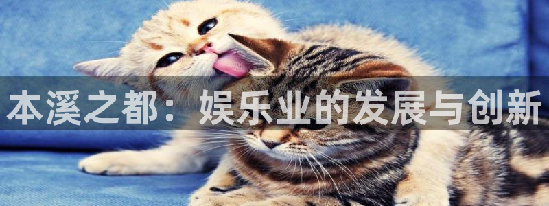 凯发天生赢家一触即发人生k8：本溪之都：娱乐业的发展与创新