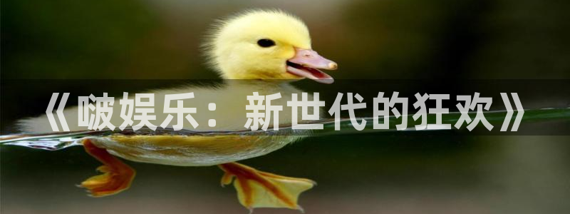 k8凯发旗舰：《啵娱乐：新世代的狂欢》