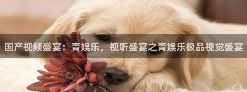 k8凯发(中国)天生赢家：国产视频盛宴：青娱乐，视听盛宴之青娱乐极品视觉盛宴