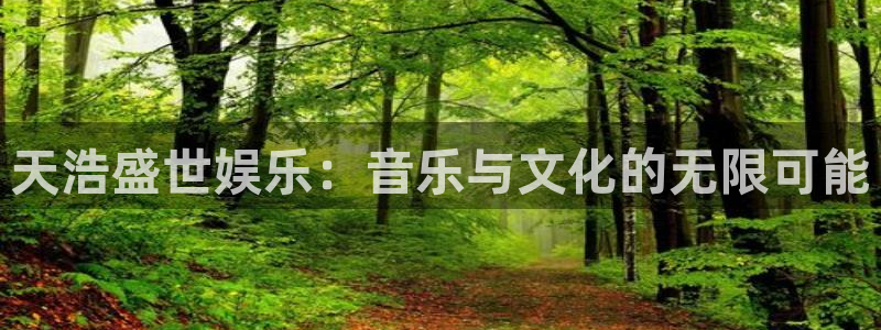 k8凯发ag旗舰：天浩盛世娱乐：音乐与文化的无限可能
