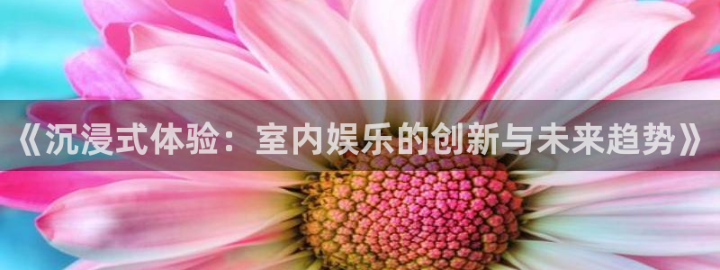 k8凯发(中国)天生赢家·一触即发：《沉浸式体验：室内娱乐的创新与未来趋势》