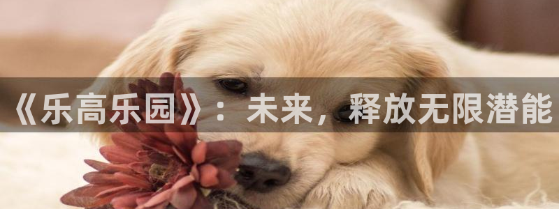 k8凯发官网入口：《乐高乐园》：未来，释放无限潜能