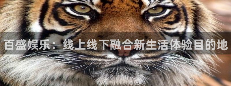 k8凯发旗舰厅官网入口：百盛娱乐：线上线下融合新生活体验目的地