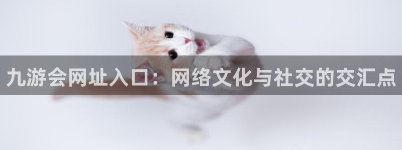 k8凯发官方手机版app：九游会网址入口：网络文化与社交的交汇点