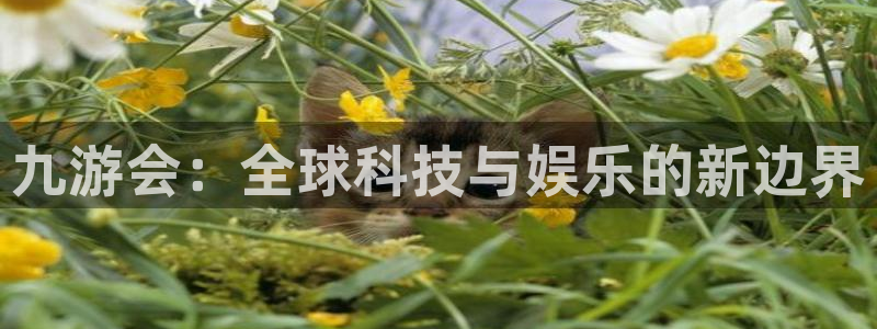 凯发k8真实：九游会：全球科技与娱乐的新边界