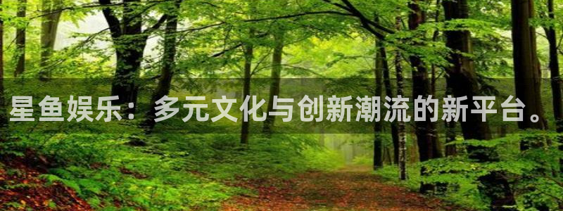 k8凯发(china)天生赢家·一触即发：星鱼娱乐：多元文化与创新潮流的新平台。