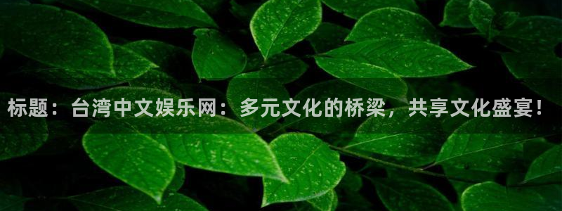 k8凯发天生赢家一触即发人生：标题：台湾中文娱乐网：多元文化的桥梁，共享文化盛宴！
