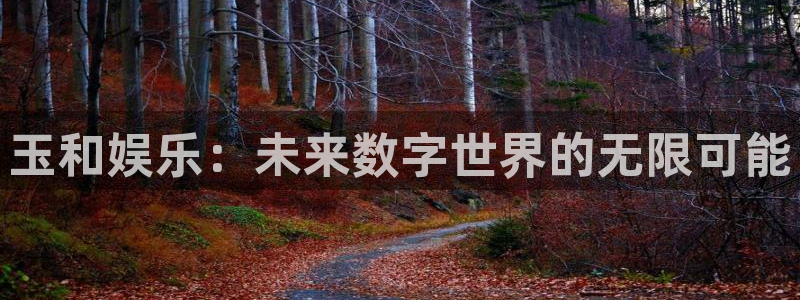 k8凯发app下载安装：玉和娱乐：未来数字世界的无限可能